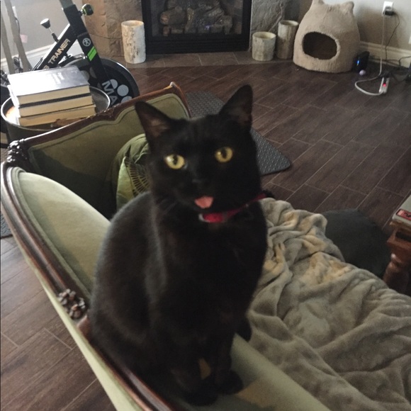 | | S A I N T + H E X | | MAKE AN OFFER & SAVE $$$ - Picture 4 of 8